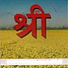 SHUVA SHREE (and logo) trademark logo