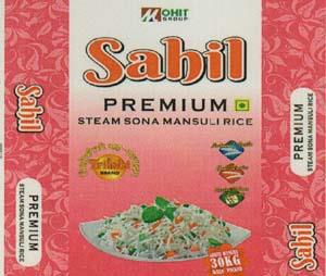 SAHIL (and logo) trademark logo