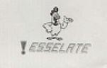 ESSELATE (and logo) trademark logo