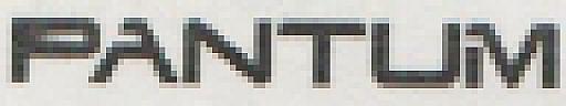 PANTUM (and logo) trademark logo
