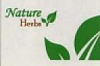 NATURE HERBS (and logo) trademark logo
