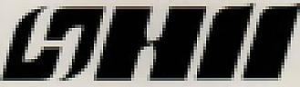 HII (and logo) trademark logo