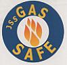 JSS GAS (and logo) trademark logo