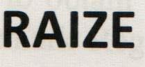 RAIZE (and logo) trademark logo