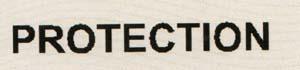 PROTECTION (and logo) trademark logo