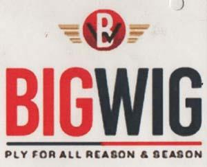 BIGWIG (and logo) trademark logo