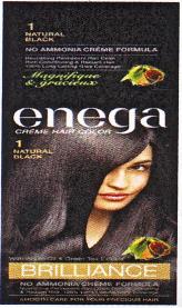 ENEGA BRILLIANCE (and logo) trademark logo