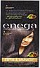 ENEGA BRILLIANCE (and logo) trademark logo