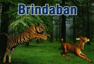 BRINDABAN (and logo) trademark logo
