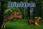 BRINDABAN (and logo) trademark logo