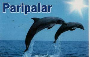 PARIPALAR (and logo) trademark logo