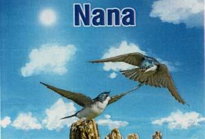 NANA (and logo) trademark logo