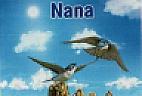 NANA (and logo) trademark logo