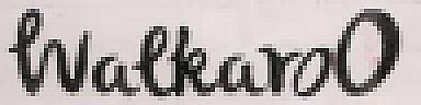 Walkaroo (and logo) trademark logo