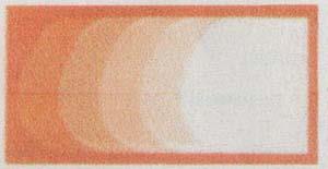 DEVICE MARK (and logo) trademark logo