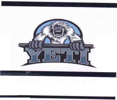 YETI (and logo) trademark logo