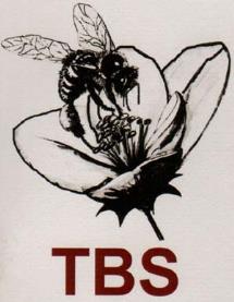 TBS (and logo) trademark logo
