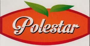 POLESTAR (and logo) trademark logo