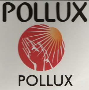 POLLUX (and logo) trademark logo