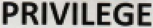PRIVILEGE (and logo) trademark logo