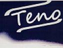 TENO (and logo) trademark logo