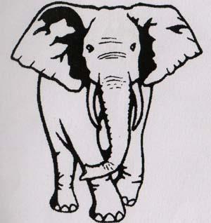 DEVICE MARK (and logo) trademark logo