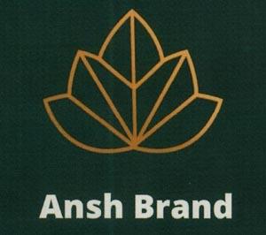 ANSH BRAND (and logo) trademark logo