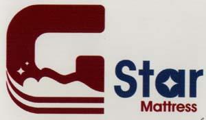 G STAR (and logo) trademark logo