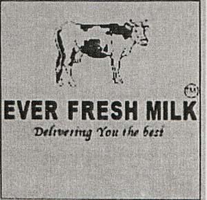 EVER FRESH MILK (and logo) trademark logo