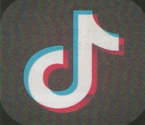 DEVICE MARK (and logo) trademark logo