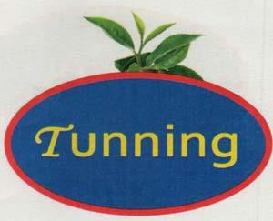 TUNNING (and logo) trademark logo