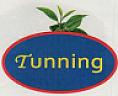 TUNNING (and logo) trademark logo