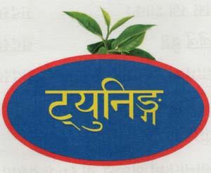 TUNNING (and logo) trademark logo