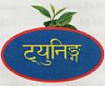 TUNNING (and logo) trademark logo
