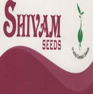 SHIVAM SEEDS (and logo) trademark logo