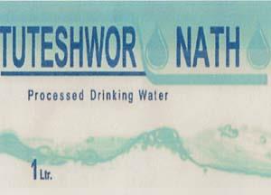 TUTESHWOR NATH (and logo) trademark logo