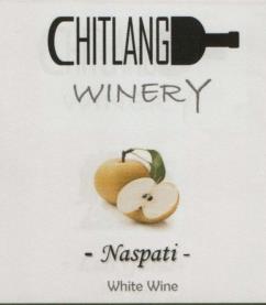 CHITLANG WINERY NASPATI (and logo) trademark logo