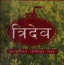TRIDEV (and logo) trademark logo