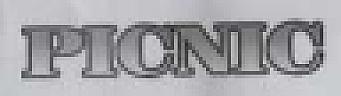 PICNIC (and logo) trademark logo