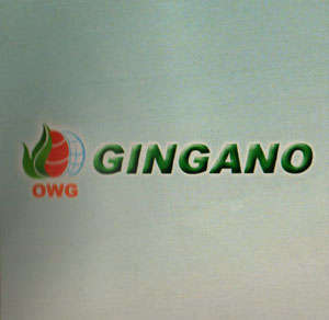 OWG GINGANO (and logo) trademark logo