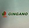 OWG GINGANO (and logo) trademark logo