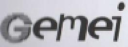 GEMEI (and logo) trademark logo