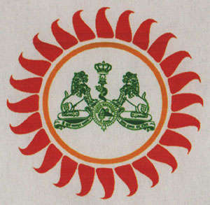 DEVICE MARK trademark logo