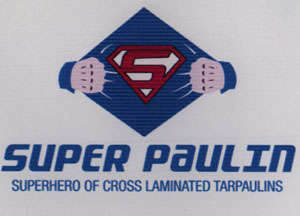 SUPER PAULIN (and logo) trademark logo