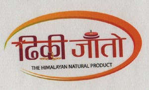 DHIKIJATO (and logo) trademark logo