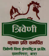 TRIVENI (and logo) trademark logo