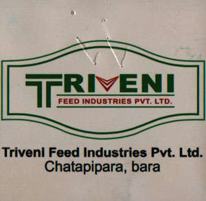 TRIVENI (and logo) trademark logo