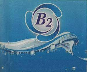 B2 (and logo) trademark logo
