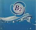 B2 (and logo) trademark logo