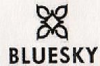 BLUESKY (and logo) trademark logo